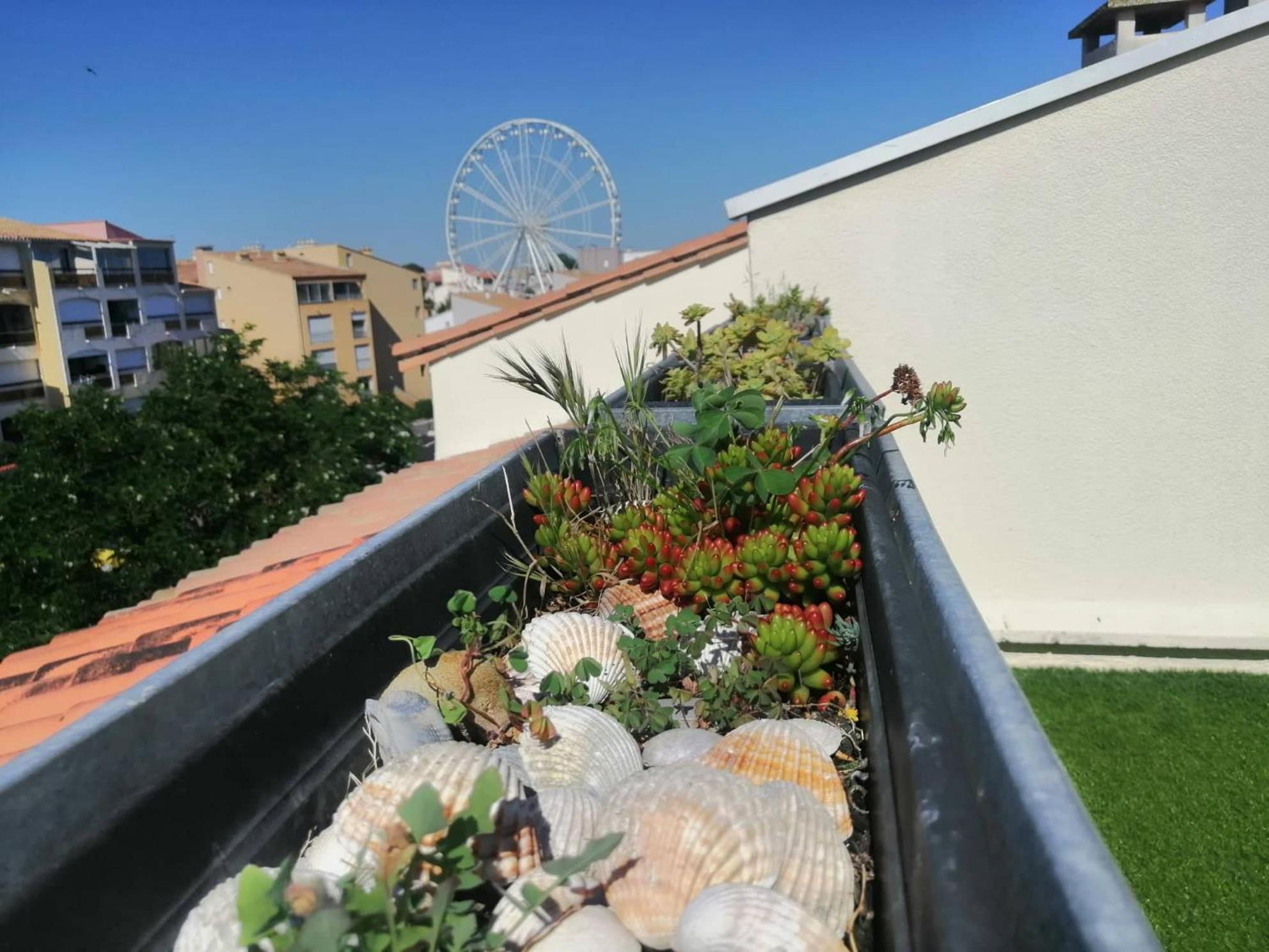 Pamela Sea Lodge Cap D Agde Exterior photo